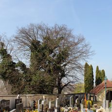 Friedhof christlich Ardagger Stift