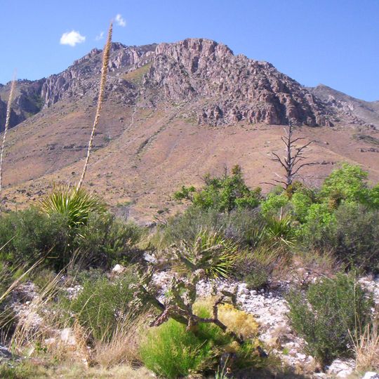 Guadalupe Mountains