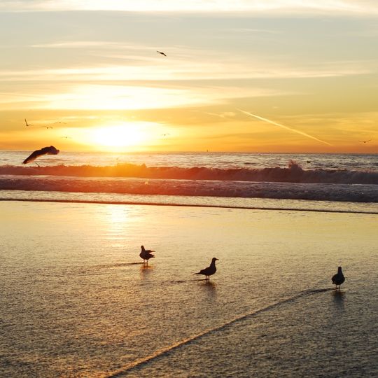 Torrance County Beach