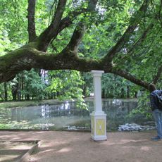 Парк с прудом (Берново)