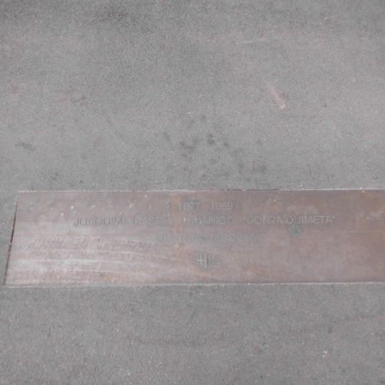 Joaquima Raspall i Juanicó