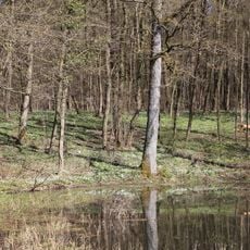 Muschelkalkzug von den Langen Bergen bis nach Weißenbrunn v. Wald