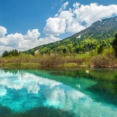 Zelenci
