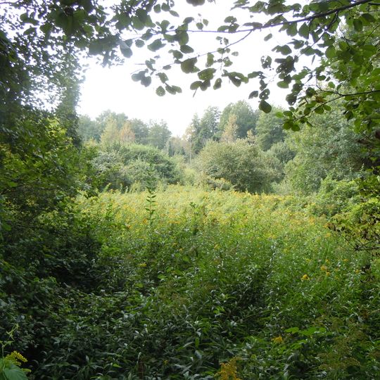 Zone humide de Corbelin