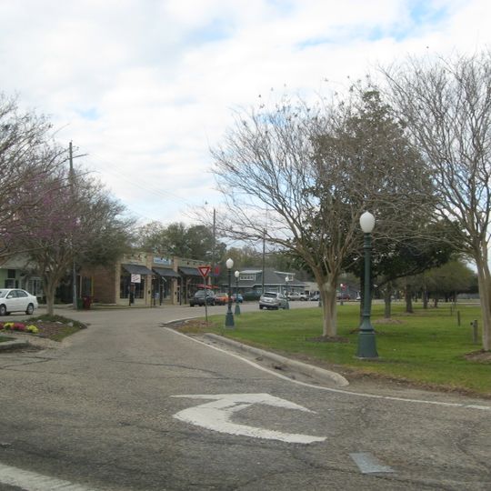 Picayune