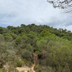 Puig de Sobre Montllor