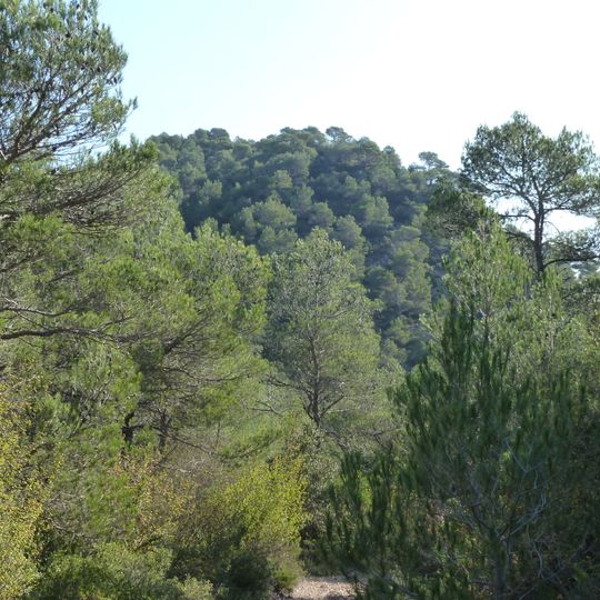 Turó de la Vinya Vella