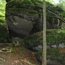 Froschmaul am Burgberg Falkenstein