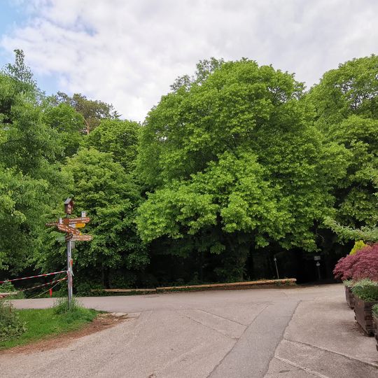 4 Winterlinden "7 Linden"