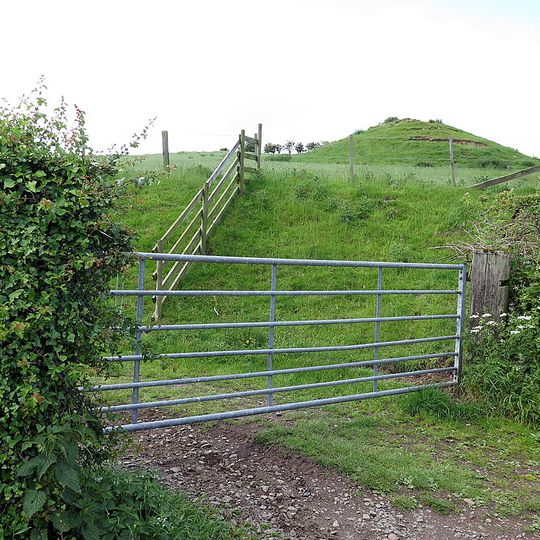 Medieval chapel, 220m south east of White Gables