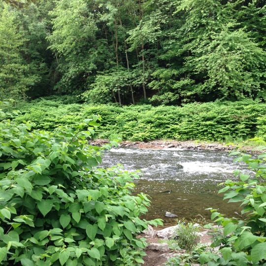 LSG-Unteres Tal der Wupper