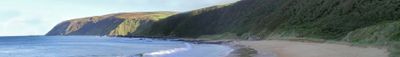 Panoramic View 1