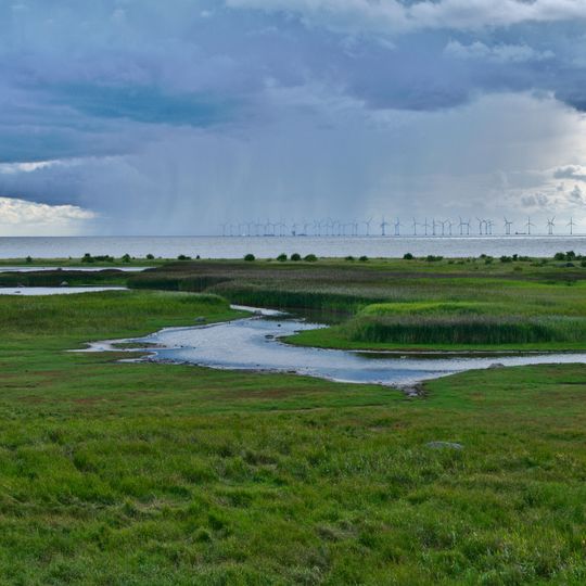 Bunkeflo strandängar