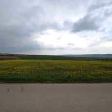 Fundzone Zwischen den Wegen/Teichfeld