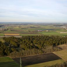 Wiedergeltinger Wäldchen