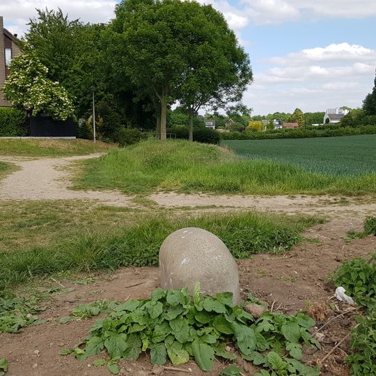 Belgien-Niederlande Grenzstein Nr. 81a