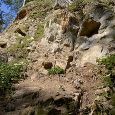 Feld- und Waldgebiet Almesbach - Im Ibelnest - Eichrangen - Fischerberg - Buchrangen-Ebene - Hint. Neuried - Hl. Staude - Sauhübel