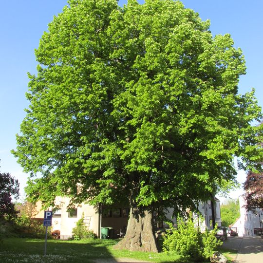 Linden Kilianskirche 2