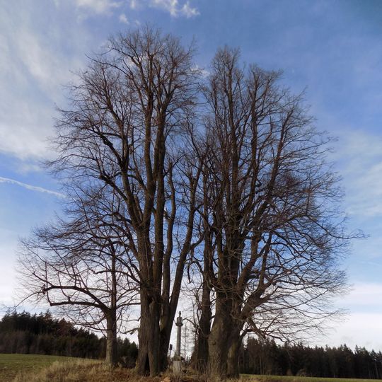 Lípy na Božích mukách