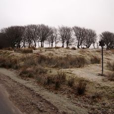 Alderman's Barrow at N of Almsworthy Common