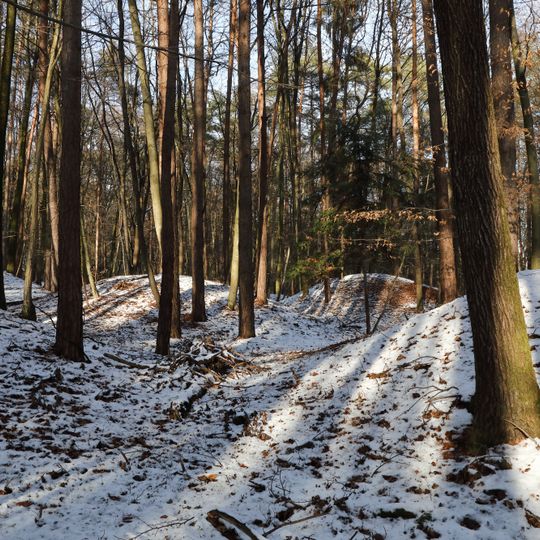 Barrow cemetery Mitterbachwald