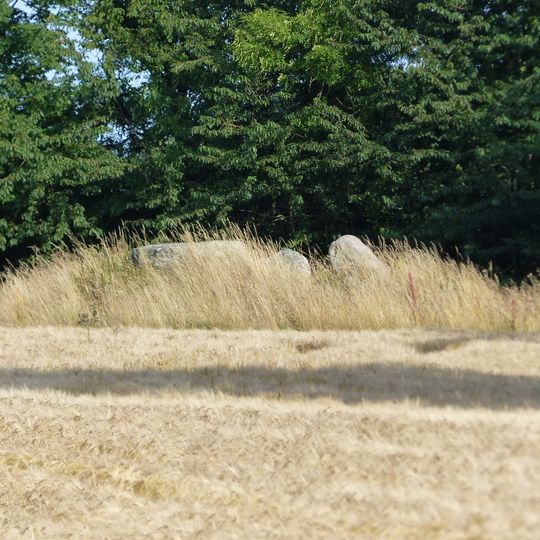 Passagegrave of Jættedal