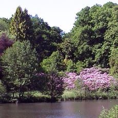 Arboretum Lehmkuhlen