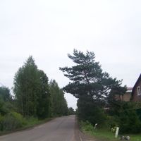 Криулино (Павлово-Посадан кӀошт)