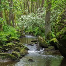 Lerautal bei Leuchtenberg