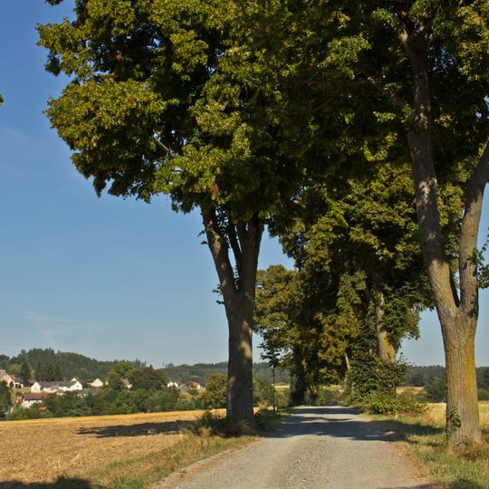 Straßenstück der L8065, KG Speisendorf