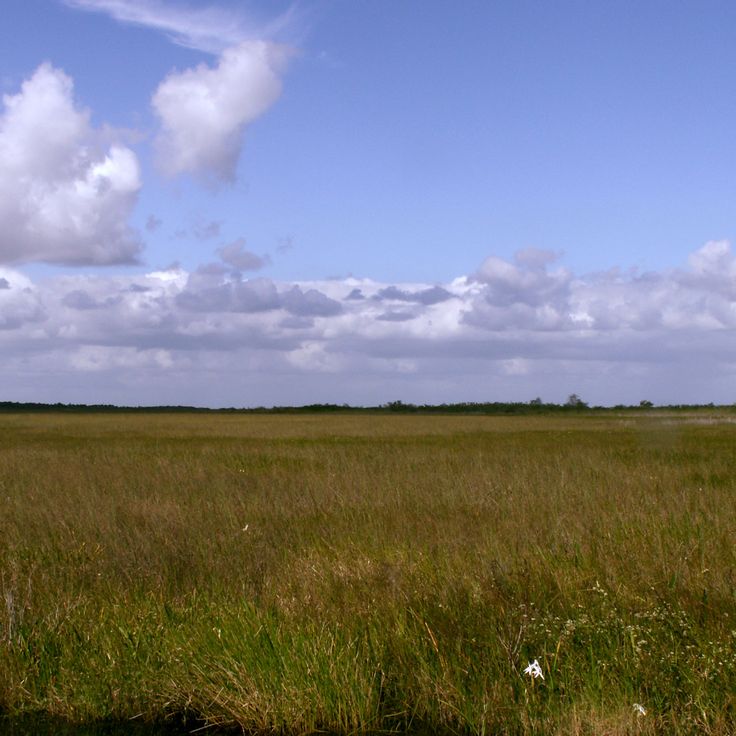 Park Narodowy Everglades