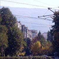Buxton, Sofia