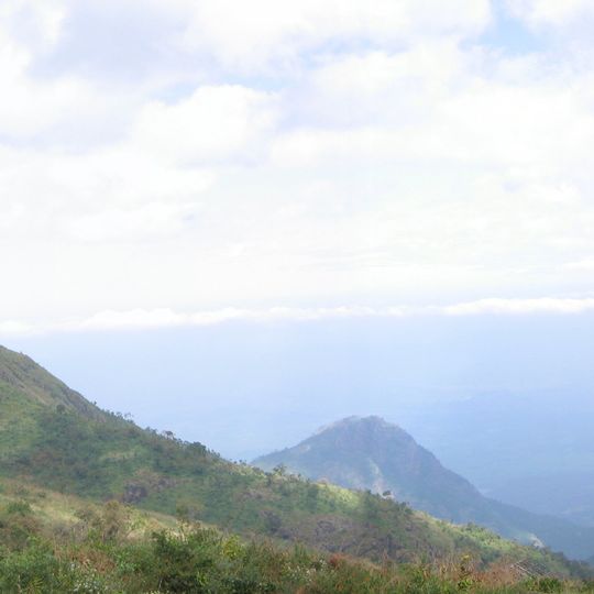 Palani