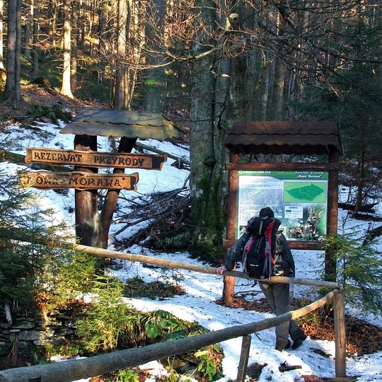 Rezerwat przyrody Nowa Morawa