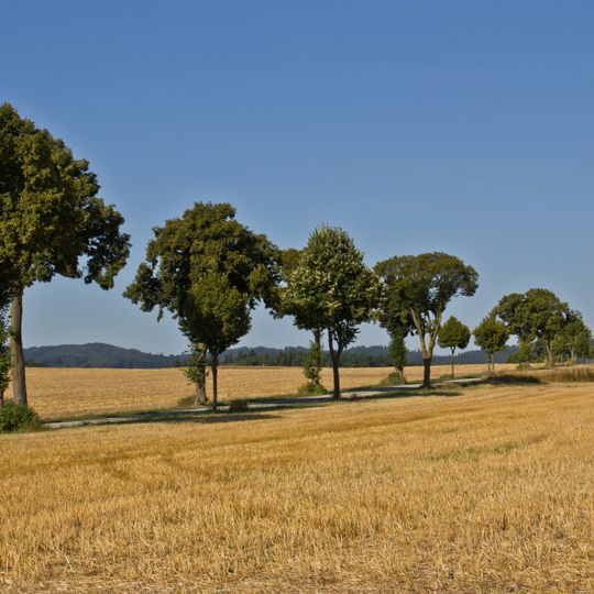 Straßenstück der L8065, KG Alberndorf