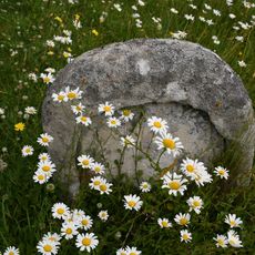 Stracheye Headstone Approximately 15 Metres West Of South Aisle Of Church Of St Andrew