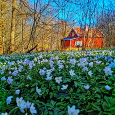 Häggebergs och Granbäcks lövskogar