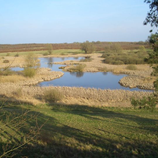 Rothenmoorsche Sumpfwiese