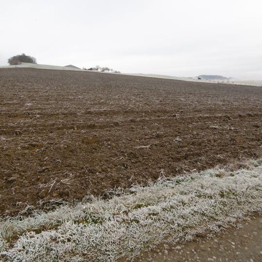 Freiflächen Thülener Bruch/Schwarzes Haupt/Rösenbeck