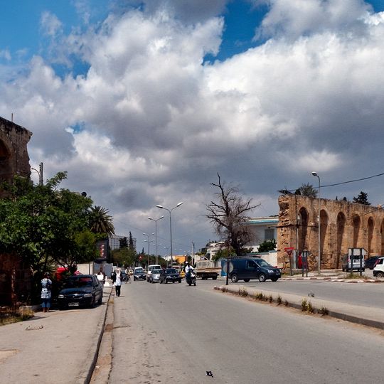 Hafsid aqueduct of Bardo
