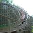 Dollywood