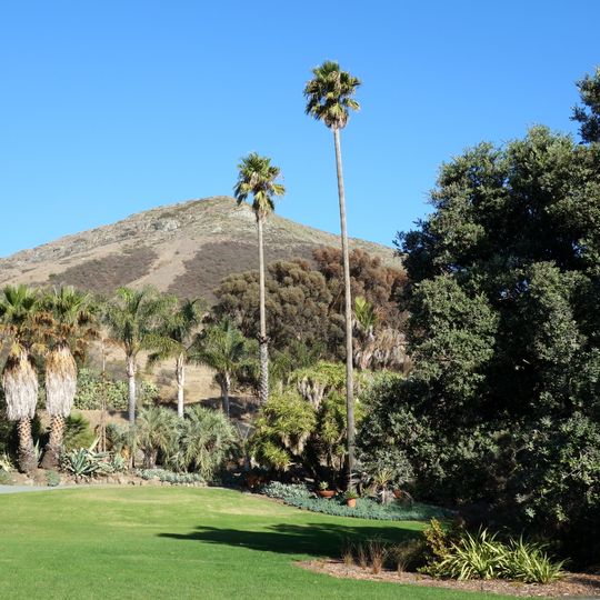 Leaning Pine Arboretum