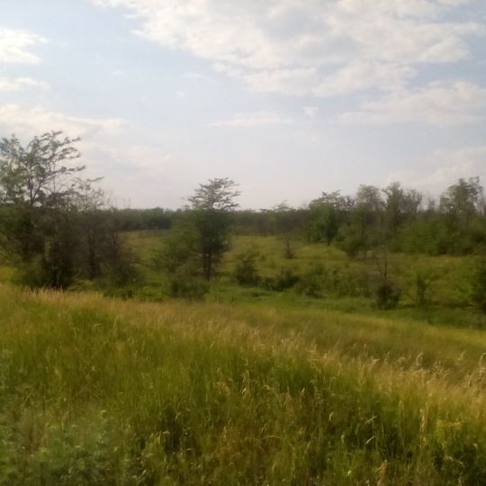 Цілинна балка