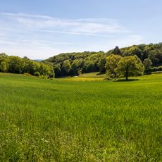 Naturschutzgebiet Kanzelstein bei Eibach