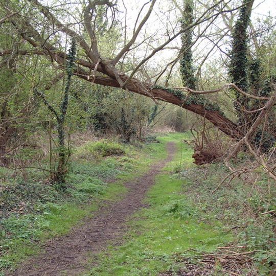 Wraysbury and Hythe End Gravel Pits
