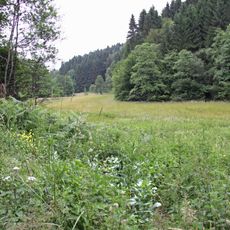 Purder Bachtal und Nebenbäche