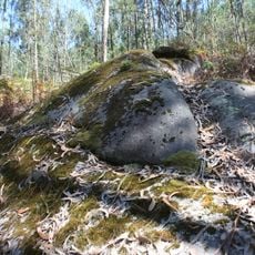 Gravuras rupestres de Monte de Góios