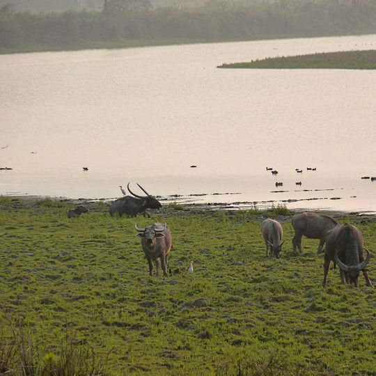 Indravati National Park