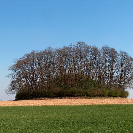 Tumulus d'Hottomont