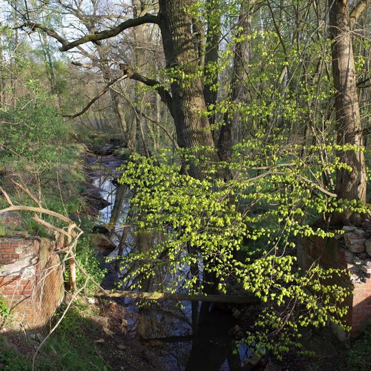 Brambach südwestlich Dessau
